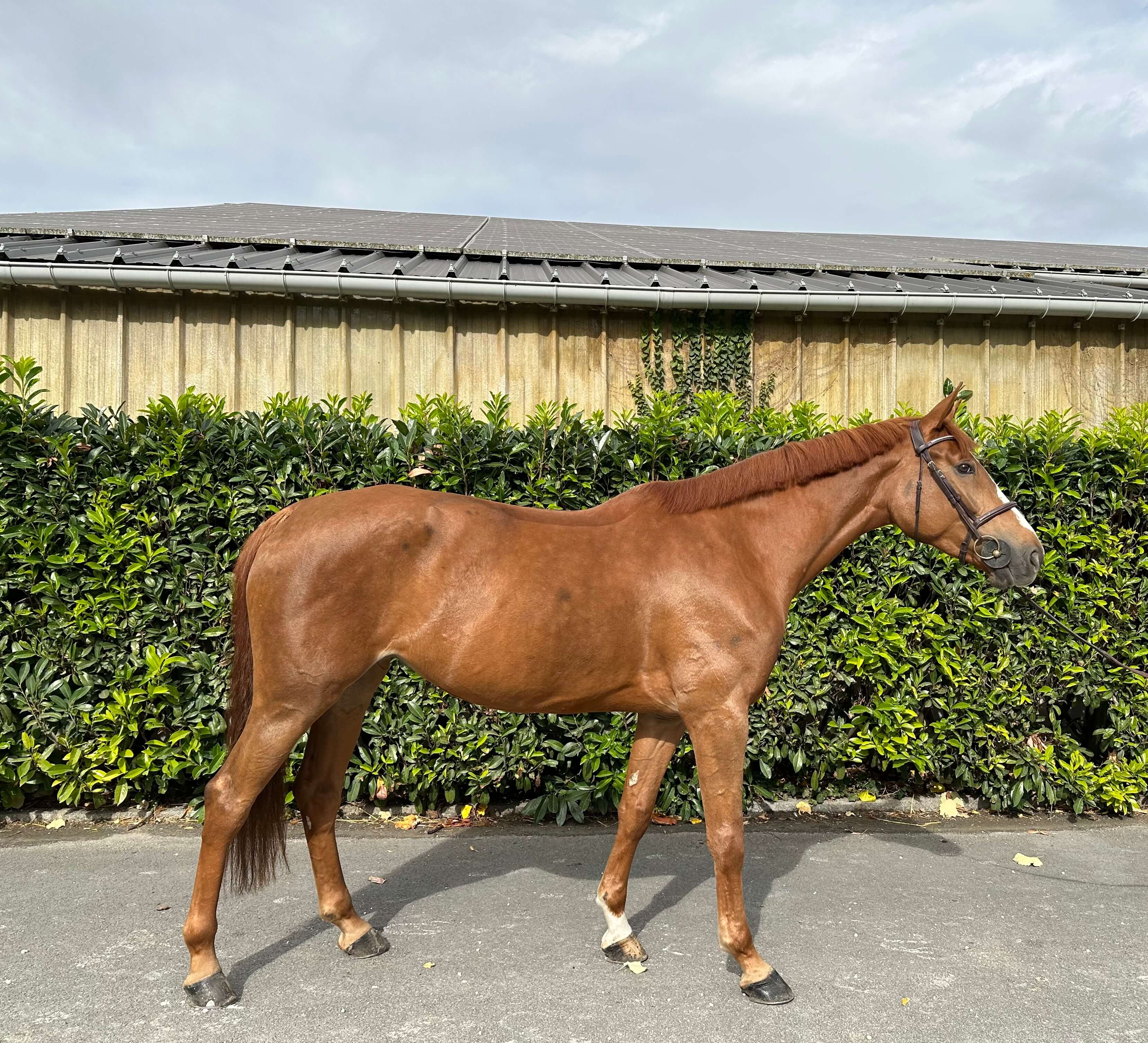 Photo principale de INAMERICA VILLERS