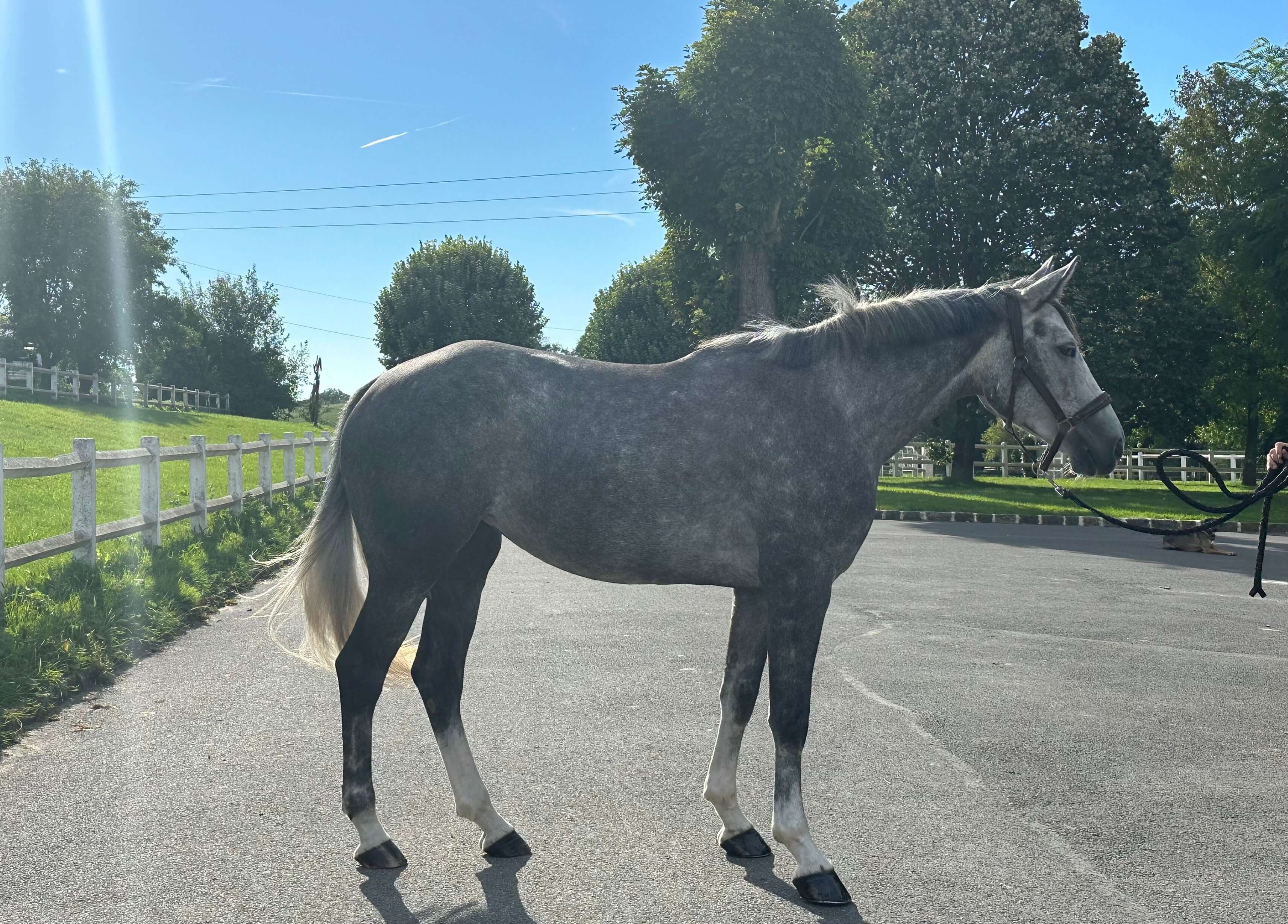 Photo principale de JOYCE VILLERS