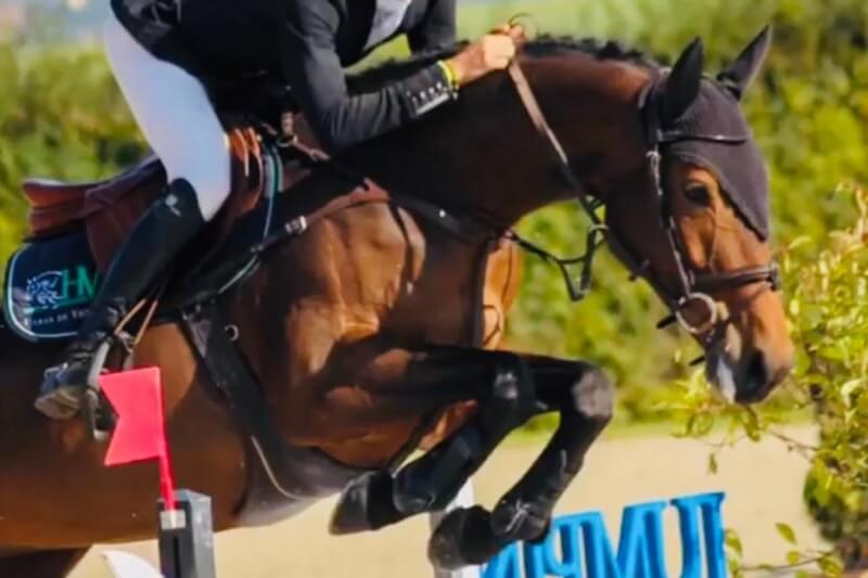 Bonne Reprise de la saison de compétition